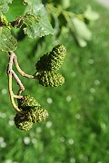 IMG_0072