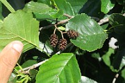 IMG_0073
