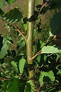 IMG_0058