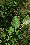 IMG_0059
