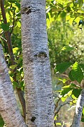 IMG_9370