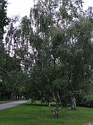 IMG_3067