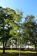 IMG_7023
