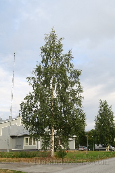 IMG_7150.JPG
