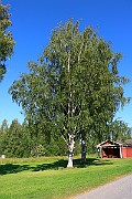 IMG_1587