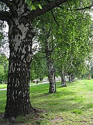 IMG_2721