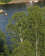 IMG_4332