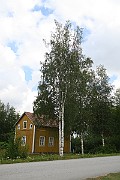 IMG_7049