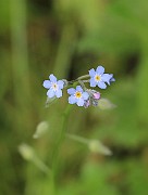 IMG_0087