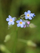 IMG_0089