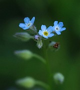 IMG_1692
