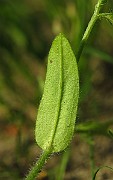 IMG_1693