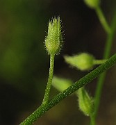 IMG_1694