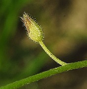 IMG_1697