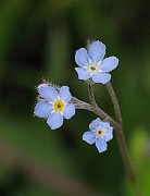 IMG_3766