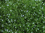 IMG_8388