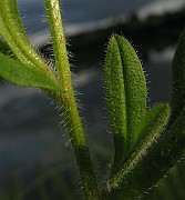 IMG_2743