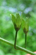 IMG_0409