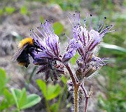20190807_153055s