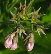 IMG_1837