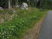 IMG_4438