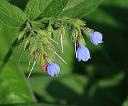 IMG_1670b