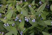 IMG_1677