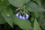 IMG_1678