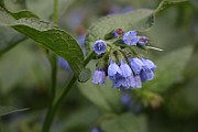 IMG_1680