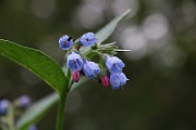 IMG_1682