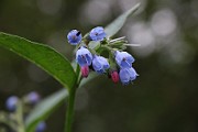 IMG_1683