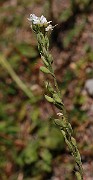 IMG_1974