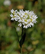 IMG_1978