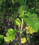 IMG_1691