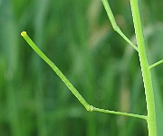 IMG_1921