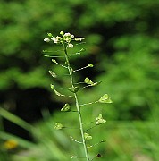 IMG_3691