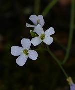 IMG_1339