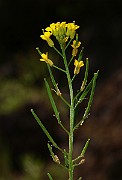 IMG_6573