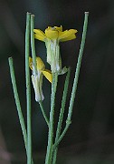 IMG_7886