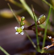 IMG_3916