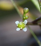 IMG_3917
