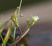 IMG_3918