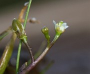 IMG_3919