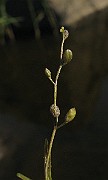 IMG_4987