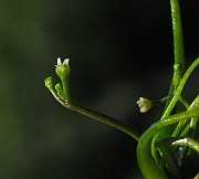 IMG_6278