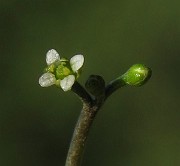 IMG_6283