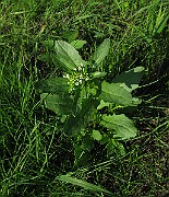 IMG_3693
