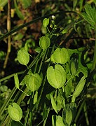 IMG_3807