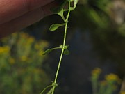 IMG_5014