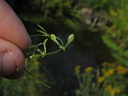 IMG_5016